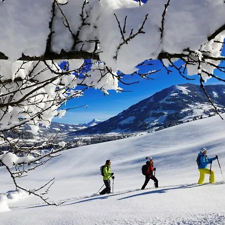 Design By Alpine Host Helpers *