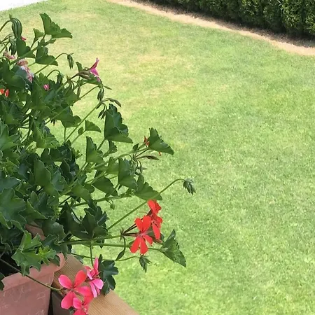 Design By Alpine Host Helpers * ווסטנדורף